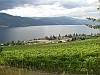 Wine from the Okanagan Valley