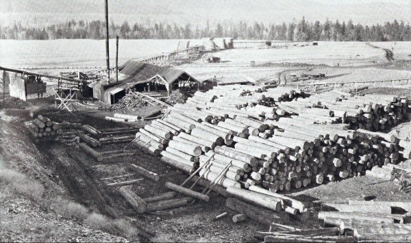 Simpson&acute;s Saw Mill