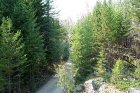 Looking down on the trail