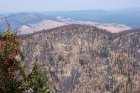 View from Trestle No 1