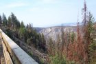 View from Trestle No 2