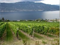 Wineries & Tours